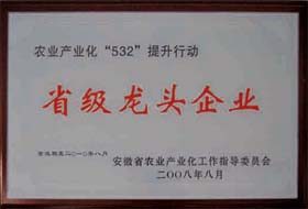 榮譽(yù)展示