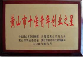 榮譽(yù)展示