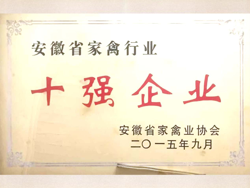 榮譽(yù)展示