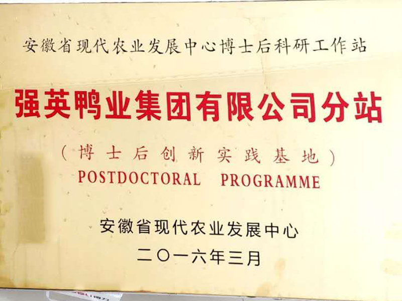 榮譽(yù)展示